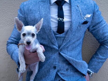 https://www.pexels.com/photo/photo-of-person-holding-puppy-2527850/