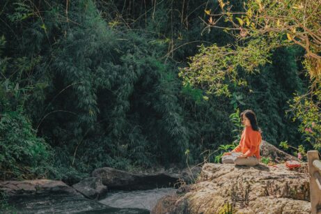 https://www.pexels.com/photo/woman-sitting-on-brown-stone-near-green-leaf-trees-at-daytime-1234035/